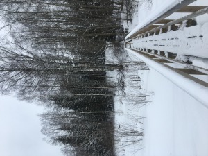Karula nacionālais parks ziemā